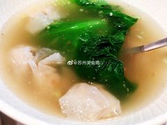 -MR鹅外