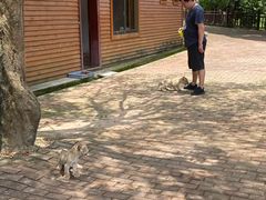 -泉州海丝野生动物世界