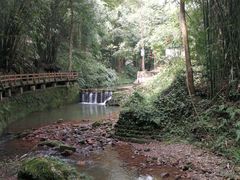 -凤栖山