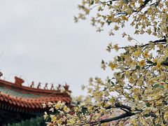 -珠海圆明新园
