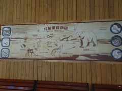 -海合安武汉极地海洋公园