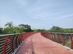 -王借岗森林公园