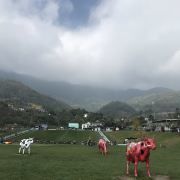 -黄继光纪念馆