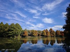 -上海海湾国家森林公园