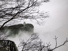 -张家界天门山国家森林公园