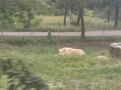 -秦皇岛野生动物园