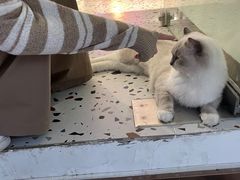 -FULL MOON满月咖啡