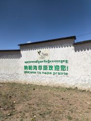 -纳帕海依拉草原