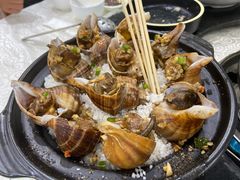 盐焗海螺-德云居