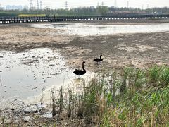 -天津东丽湖风景区