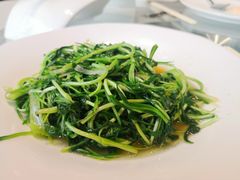 绿色炒时蔬-太湖饭店·寄畅轩中餐厅