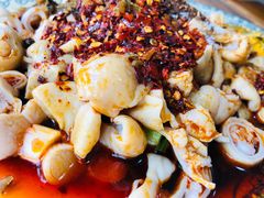 肥肠豆汤-温记府廟豆汤饭·始于1955年(海椒店)