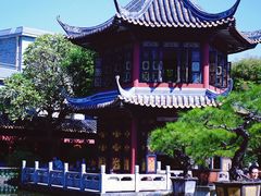 -碧江金楼