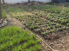 -苏州佳怡假日酒店