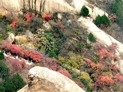-北京凤凰岭