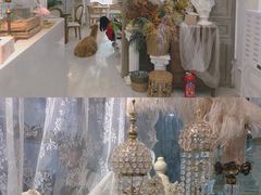 -共舞时光猫咖·狗咖(新街口店)