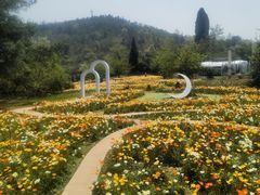 -名花谷生态庄园