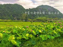 -普者黑风景区-青龙山