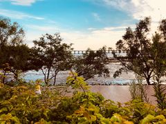 -宝安西湾红树林湿地公园