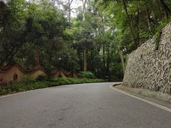 -三门江国家森林公园