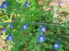 -桃花岛风景旅游区