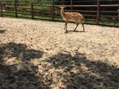-苏州太湖西山岛开心农场