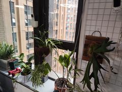 -悦耐私教健身馆(保利中心店)