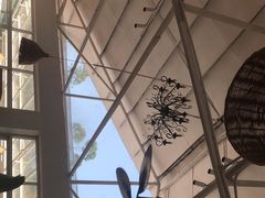 -芭厘农庄老字号·清远鸡