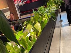 -管氏翅吧(台湾街店)