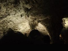 -怀托摩萤火虫洞