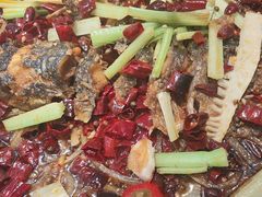 -老板恋上鱼(印象城店)