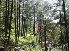 -梦幻奥陶纪景区