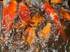 -上海大自然野生昆虫馆(东方明珠·爬宠昆虫探索中心)