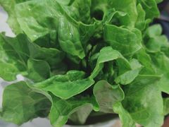 -千牛将·鲜牛肉火锅(开元路店)