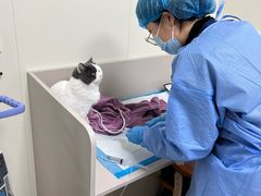 -派美特宠物医院·核磁CT·骨科肿瘤·疑难转诊(沈农禾丰店)