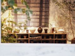 -自由生长植物工作室(深港花卉中心店)