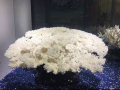 -游龙石文化科普馆