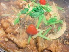 -老板恋上鱼(恒隆广场店)