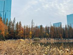 -艾溪湖湿地公园