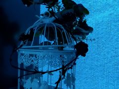 -欢唱KTV(东街店)