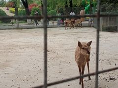 -祥源·阜阳生态乐园
