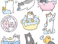 -八哥美术·成人美术画室(总校区)