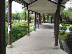 -飞来湖湿地公园