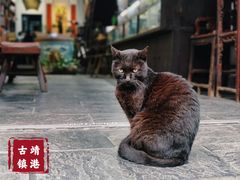 -靖港古镇