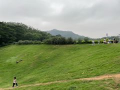 -番禺大夫山森林公园