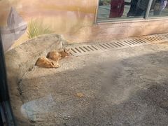 -昆明动物园