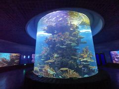 -多彩贵州城极地海洋世界