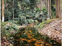 -滴水岩森林公园