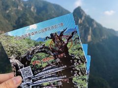 -龙湾潭国家森林公园