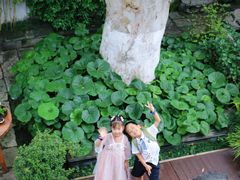 -鲤院·新中式美学·庭院餐厅(夫子庙店)